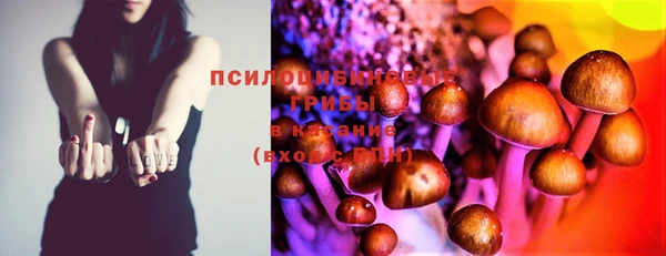 прущая мука Арсеньев