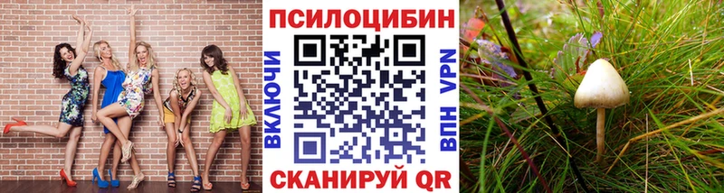 Псилоцибиновые грибы мицелий  Тырныауз 